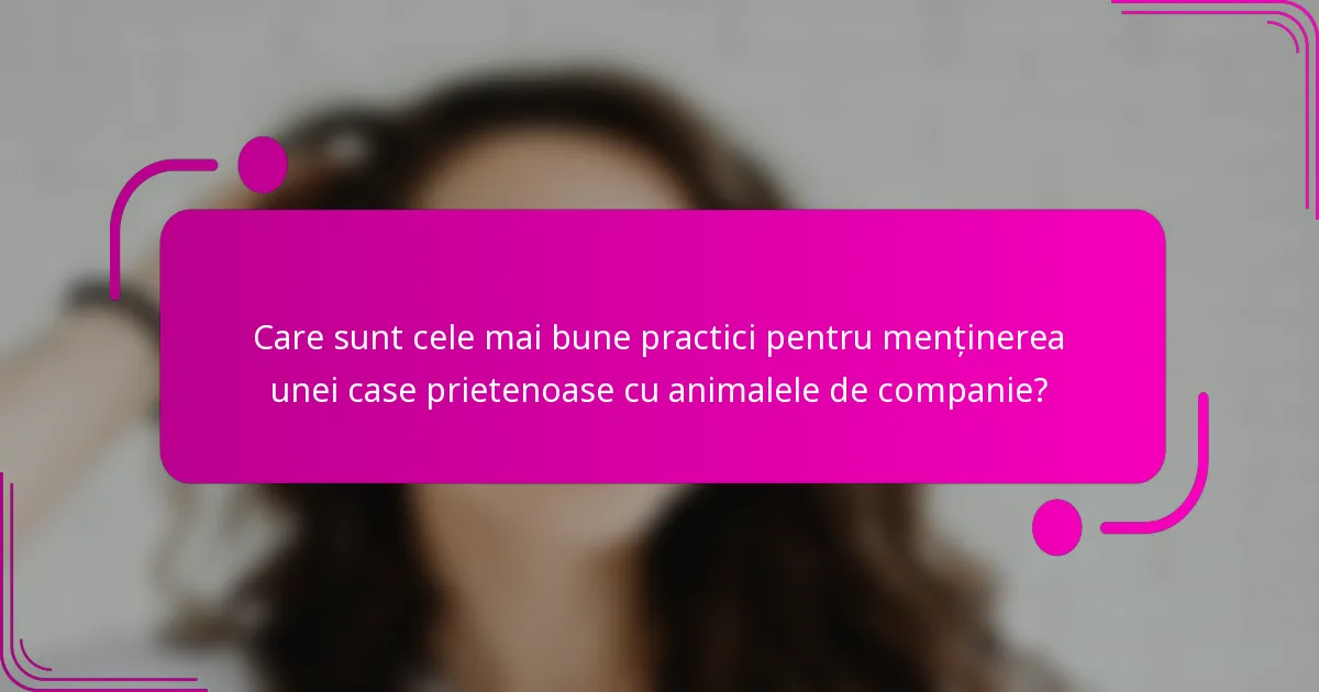 Care sunt cele mai bune practici pentru menținerea unei case prietenoase cu animalele de companie?