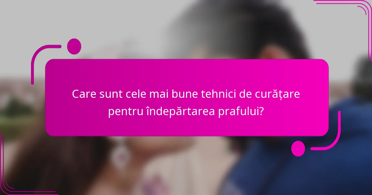 Care sunt cele mai bune tehnici de curățare pentru îndepărtarea prafului?