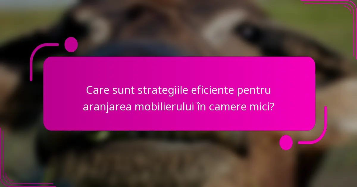 Care sunt strategiile eficiente pentru aranjarea mobilierului în camere mici?