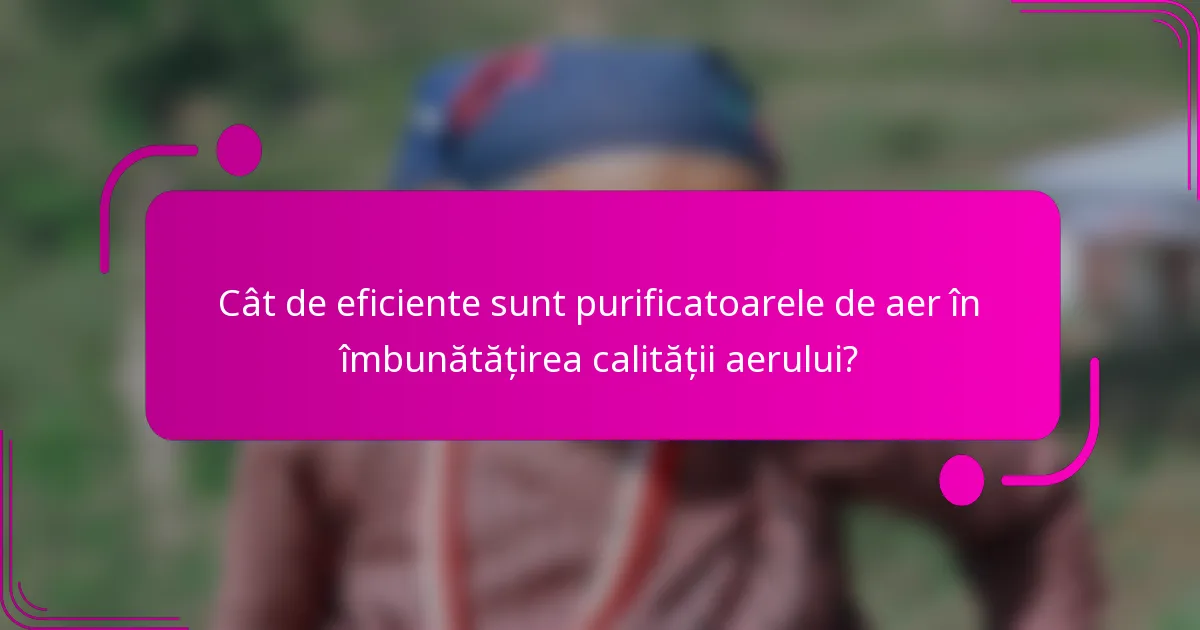 Cât de eficiente sunt purificatoarele de aer în îmbunătățirea calității aerului?