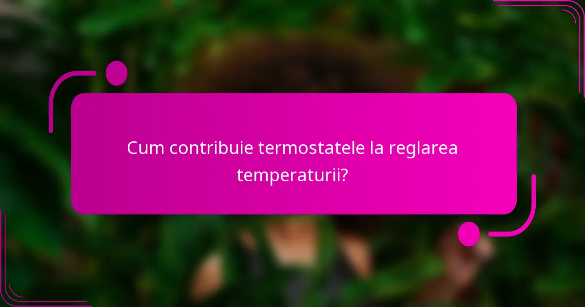Cum contribuie termostatele la reglarea temperaturii?